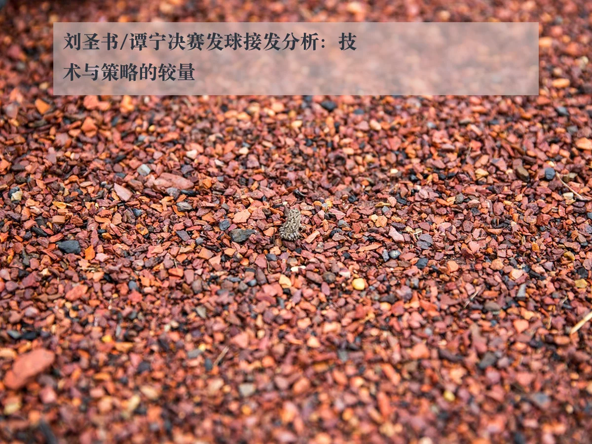 刘圣书/谭宁决赛发球接发分析:技术与策略的较量