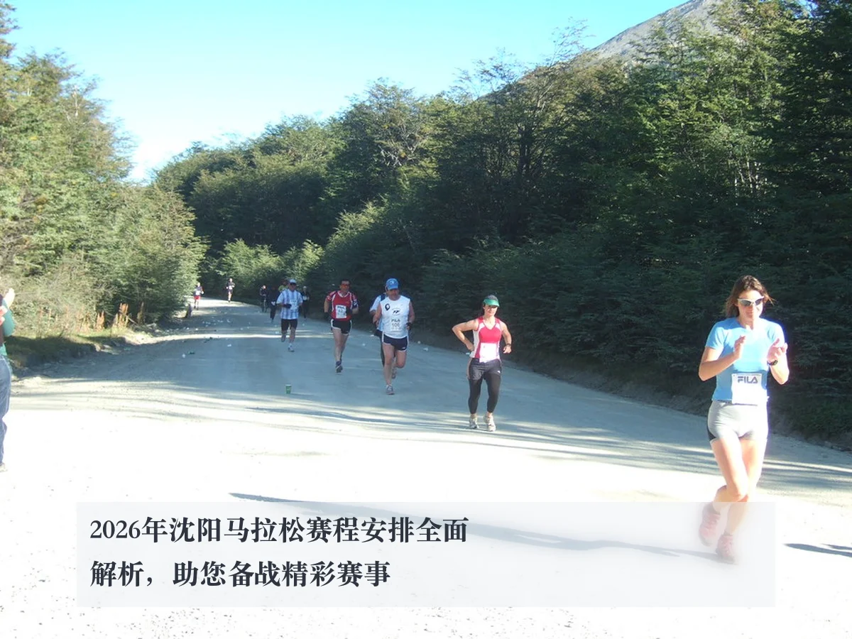 2026年沈阳马拉松赛程安排全面解析,助您备战精彩赛事